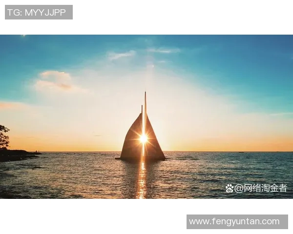 何思雨：在风雨中绽放的坚韧与希望的旅程