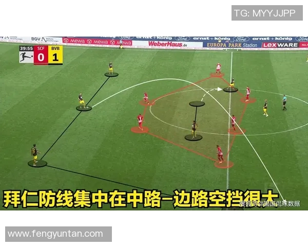 新西兰与葡萄牙首发阵容对比分析及比赛前瞻