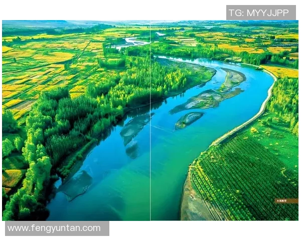 河床与防御正义的历史交织探讨与反思之旅 河床与防御正义的历史交织探讨与反思之旅