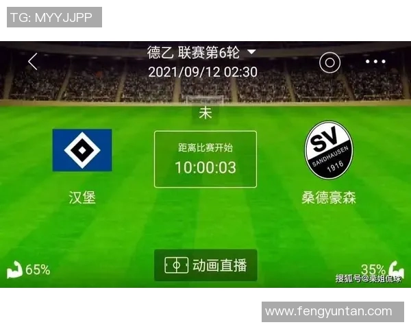 汉堡对桑德豪的精彩比赛比分分析与赛后点评