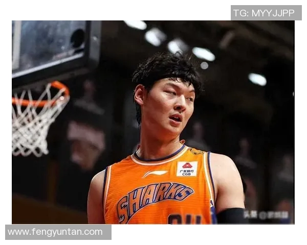 王哲林在CBA赛场的崛起与挑战解析:从新星到领军人物的成长之路 王哲林在CBA赛场的崛起与挑战解析:从新星到领军人物的成长之路