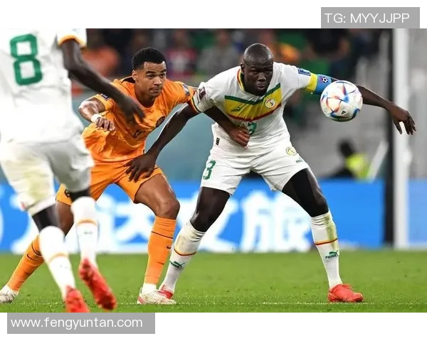 加克波：从天才少年到足球场上的闪耀之星的成长之路