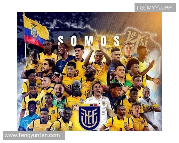 厄瓜多尔与法国足球对决专家分析汇总及比赛前瞻