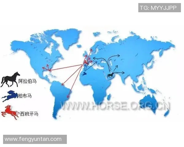 布星与比尔森的历史交锋与发展演变全景分析